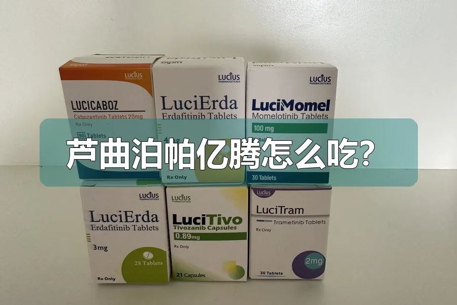 芦曲泊帕亿腾怎么吃？